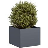 vidaXL Cvetlično korito antracit 40x40x30 cm jeklo | Shoptok.si