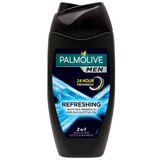 Palmolive gel za tuširanje za muškarce pure artic refreshing 250ml Cene