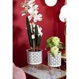 Mauro Ferretti Kovinska stojala za cvetlične lonce v kompletu 2 ks ø 16 cm (višina 20 cm) Carly – | Shoptok.si