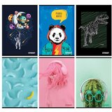 STREET Zvezek A5 Young, črte z robom, 80 listov, sortirano, 1 kos | Shoptok.si