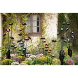 Ambia Home OKRASNA ROŽA | Shoptok.si