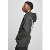 Cayler & Sons wl dollar mind hoody charcoal/mc | ePonuda.com