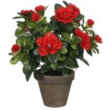  Umjetna biljka Azalea (Visina: 27 cm, Crvene boje, Plastika) Cijene