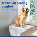 Wenko WC deska s počasnim zapiranjem 36,5 x 45 cm Pula – | Shoptok.si
