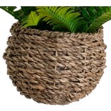 Casa Selección Umjetna paprat (visina 25 cm) – | shoptok.hr