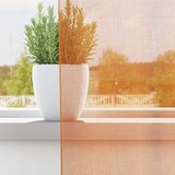 Voile zavjese s ušicama 2 kom narančaste 140x225 cm | Shoptok.si