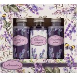 Bohemia Gifts & Cosmetics Lavender darilni set (s sivko) Cene