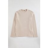 Trendyol Stone Regular/Normal Cut Long Sleeve Basic Textured 100% Cotton Thick T-Shirt | Shoptok.si