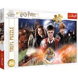 Trefl Wizarding World: Tajanstveni Harry Potter puzzle 300kom - | shoptok.hr