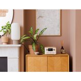 Pure Cista klasicna C-D4 bombaž bela/hrast EU/ZK | Shoptok.si