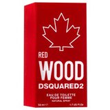 Dsquared2 Red Wood Toaletna voda za moške 50 ml | Shoptok.si