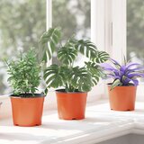  Lonac za cvijeće 50 pcs Keramika Ø 15 x 12.5 cm Plastika | shoptok.hr