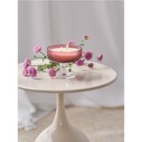 Sinsay Svijeća Morning Sweetness | shoptok.hr