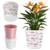 KADAX Vložek za cvetlični lonec, plastični pokrov za rože in rastline, 15 cm, roza, (5000352791) | Shoptok.si