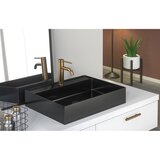 Sapho Crni umivaonik od nehrđajućeg čelika 55x42 cm Aurum – | shoptok.hr