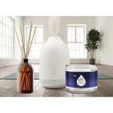 Glade Aromatherapy Moment of Zen nadomestno polnilo za aroma difuzor Lavender + Sandalwood 17,4 ml | Shoptok.si