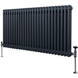 Monster tradicionalni radiator z 2 stolpcema - 600 x 1192 mm - antracitno siva, (21569791) Cene