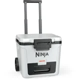 Prenosni frizider FB230EUWH FrostVault 28L bela