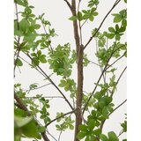 Kave Home Umjetna biljka (visina 214 cm) Enkianthus – | shoptok.hr