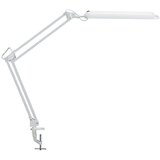 Maul LED-svetilka, 5800 K, 21 LED-diod, z mizno spojko, bela | Shoptok.si