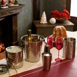 Evviva Posoda za led/pokrov Wine Xmas + prijemalka / inox, (5000198787) | Shoptok.si