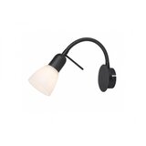 Rabalux spot rasveta soma E14 1x max 40W crna (73090) Cene