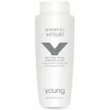  Šampon za obnovu kose Young Y-Rebuild Makadamija & Keratin – 1000 ml | Eponuda.ba