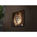 Wallity 4040İACT-20 multicolor decorative led lighted canvas painting | Eponuda.com