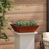  Vrtna saksija 5 pcs Rđa 50 x 50 x 15 cm | Eponuda.com