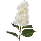Atmosphera UKRASNA GRANA JORGOVAN 98CM PES BIJELA Slike