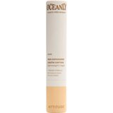 Attitude Oceanly Light Coverage Concealer Stick - Nude | shoptok.hr