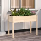 Maison Chic Cvetlično korito - Cvetlični Lonec s podlogo 118x59x76 cm trden les jelke, (21788551) | Shoptok.si
