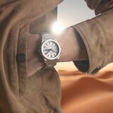 Festina SWISS F20073-1 | Shoptok.si