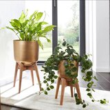 MID.YOU SET CVETLIČNIH LONČKOV | Shoptok.si