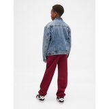 GAP Children's sweatpants with logo - Boys | Shoptok.si