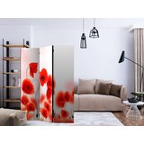  Paravan u 3 dijela - Sleepy poppy's land [Room Dividers] 135x172 | shoptok.hr