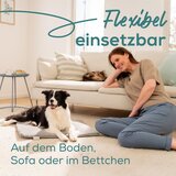 Beurer PP 220 Grelna podloga L Sammy za hišne ljubljencke, 65 x 50 cm 105,44 | Shoptok.si