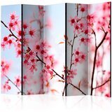  Paravan u 5 dijelova - Symbol of Japan - sakura flowers II [Room Dividers] 225x172 | shoptok.hr