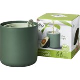 ELHO Lonec za gojenje avokada "amazing avocado pot" - Listnato zelena | Shoptok.si