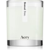 Aery Botanical Bonsai Tree mirisna svijeća 200 g | shoptok.hr
