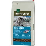 Real Nature Cat Wilderness Adult Wild coast Cene
