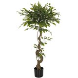 MID.YOU Umetna Rastlina Ficus I | Shoptok.si