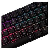 White Shark Shinobi 2 Crna Red | Eponuda.com