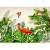  Foto tapeta - Exotic Birds - Third Variant 150x105 | shoptok.hr