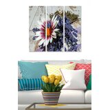 Wallity Set slika MDF2423901, 3 dijela | Eponuda.ba