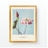 WALLXPERT Slika 55x75cm | Eponuda.ba