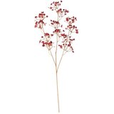 PT LIVING Umjetna biljka (visina 59 cm) Babybreath – Cijene