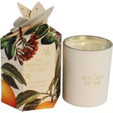 Ashleigh & Burwood London The Scented Home Christmas Spice dišeča sveča 170 g Cene
