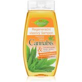 Bione Cosmetics Cannabis regenerirajući šampon 260 ml | shoptok.hr