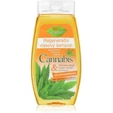 Cannabis regenerirajući šampon 260 ml